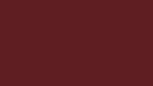 The Autumn Edit - Limited editionGarnet RedEnds 30th November 2026